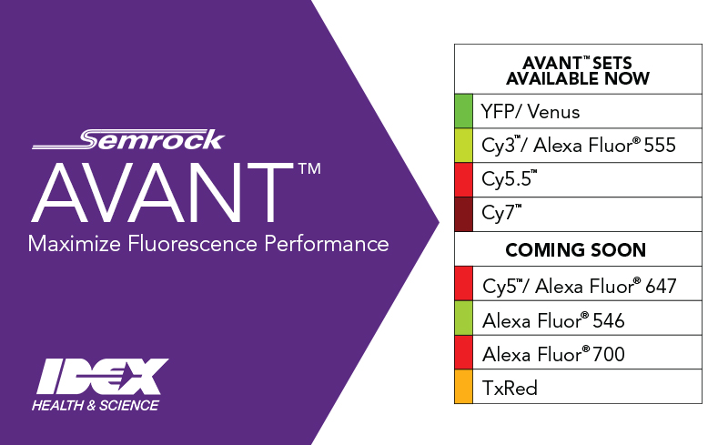 Avant Filter Set Family